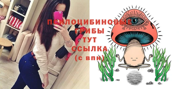 гидропоника Баксан