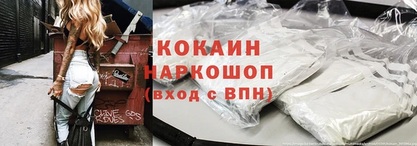 индика Елабуга