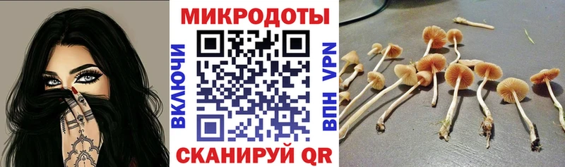 Псилоцибиновые грибы Psilocybe  наркота  Плёс 